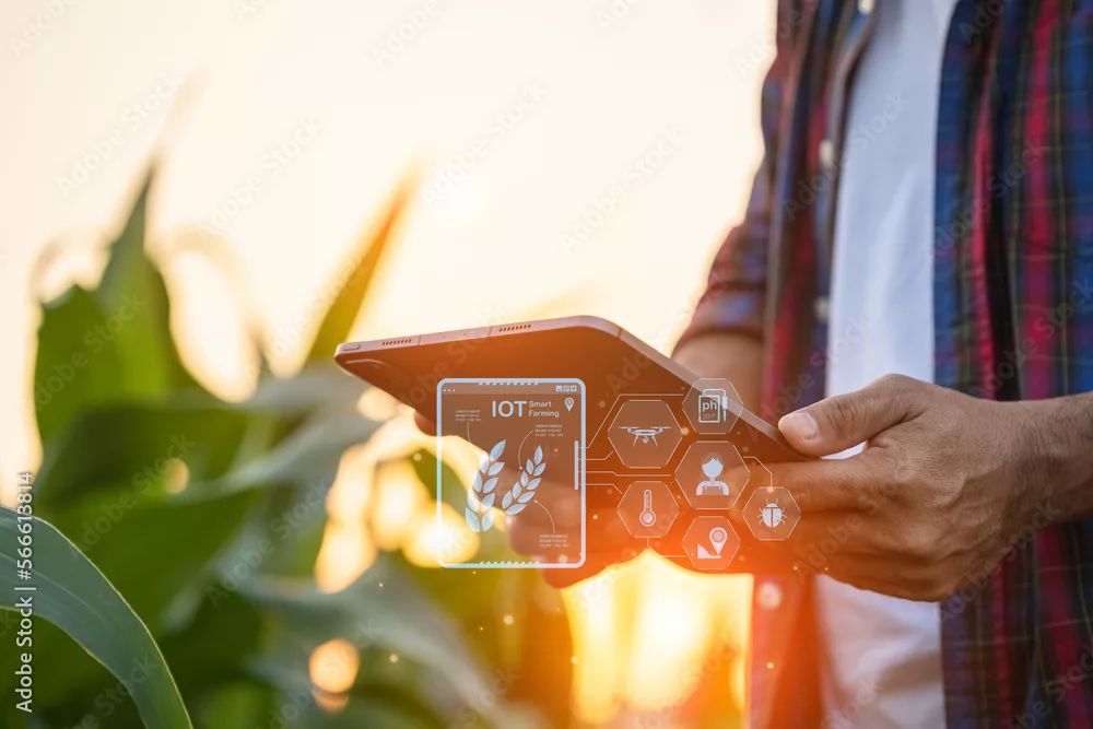 monitoring agricole connecté